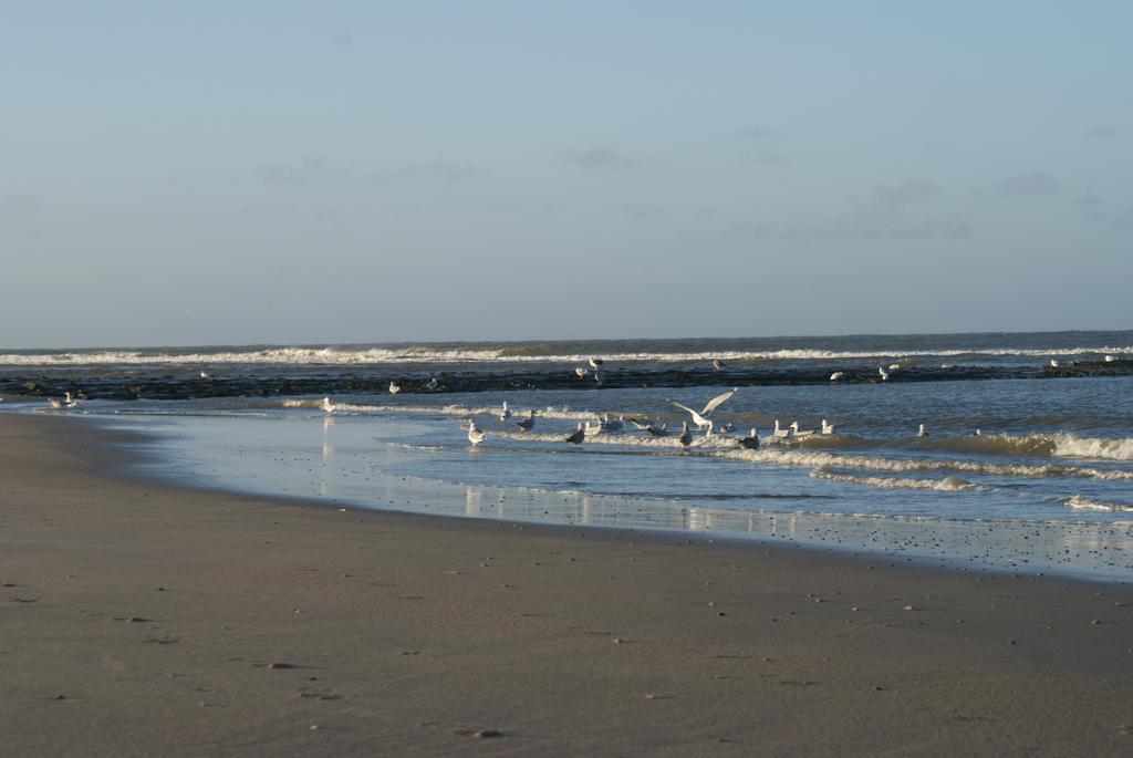De Herbergh Van Flielant Vlieland Bagian luar foto