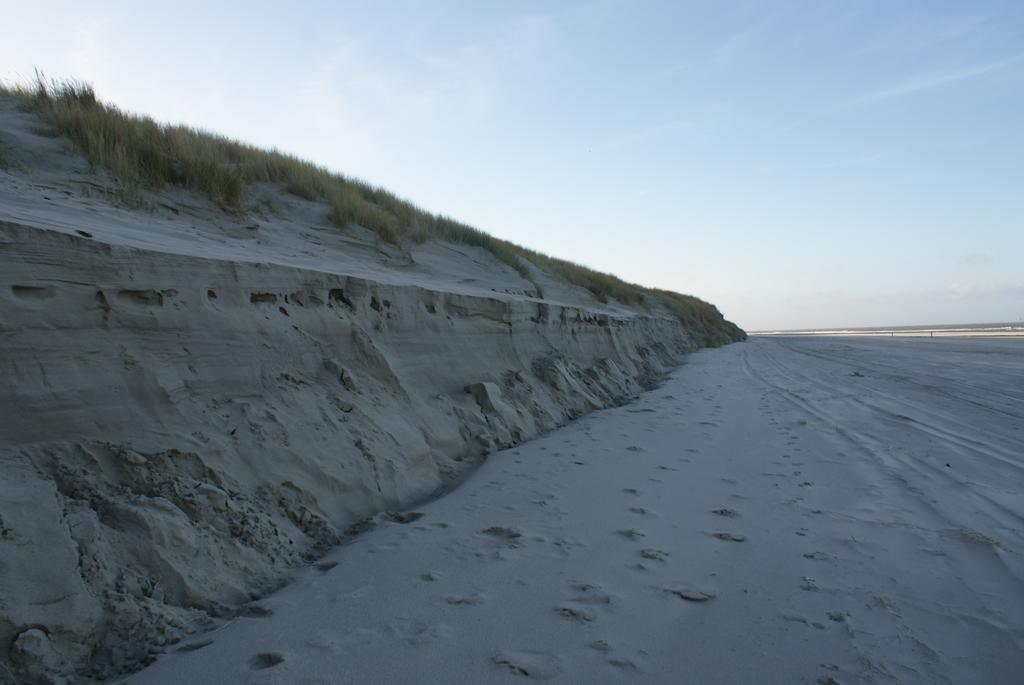 De Herbergh Van Flielant Vlieland Bagian luar foto